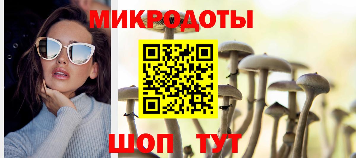 Кировск  Псилоцибиновые грибы ЛСД  Вход с VPN 